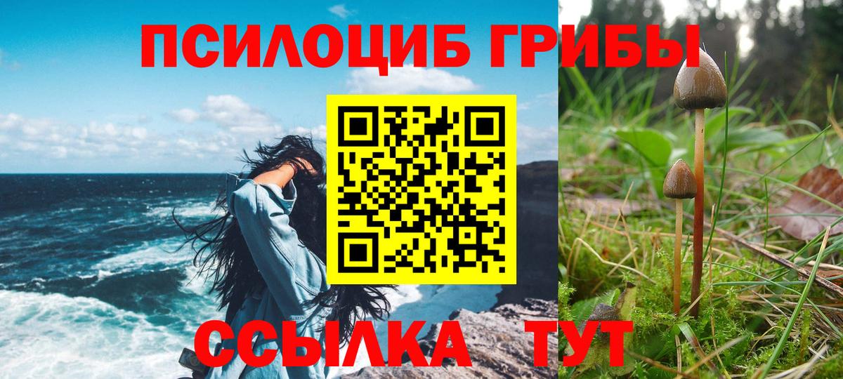 Галлюциногенные грибы GOLDEN TEACHER Уссурийск